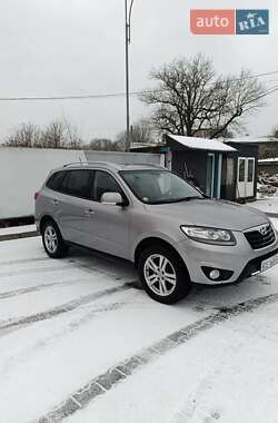 Позашляховик / Кросовер Hyundai Santa FE 2011 в Чернівцях