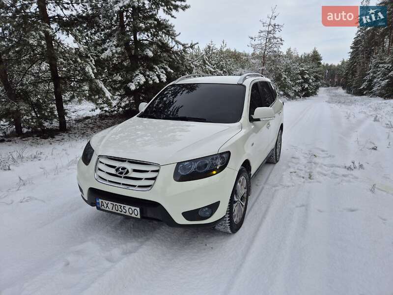 Позашляховик / Кросовер Hyundai Santa FE 2010 в Андріївці