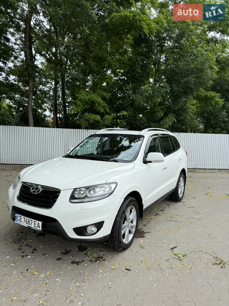 2010 Hyundai Santa Fe - мініатюра 23
