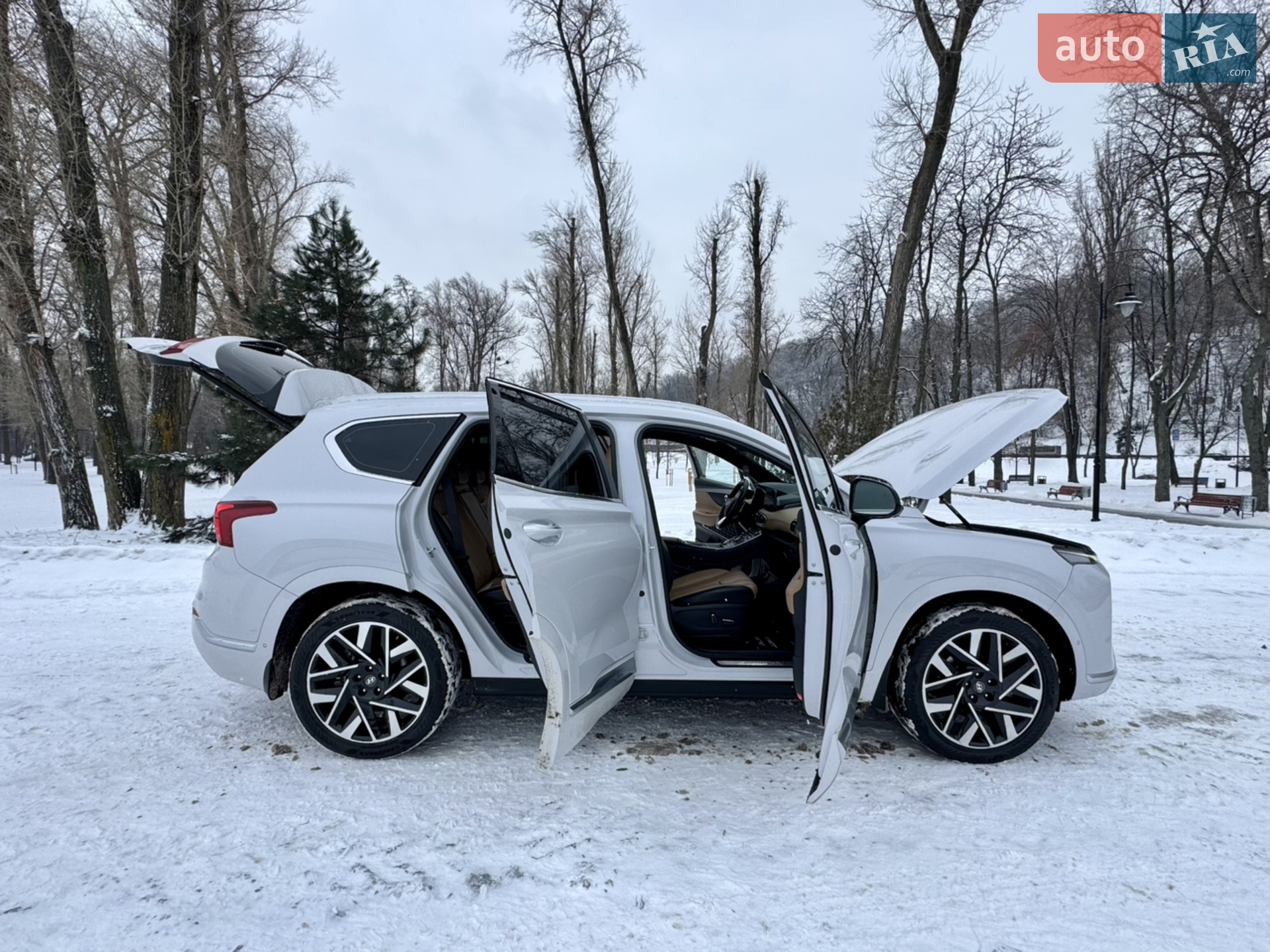 2020 Hyundai Santa Fe - мініатюра 191