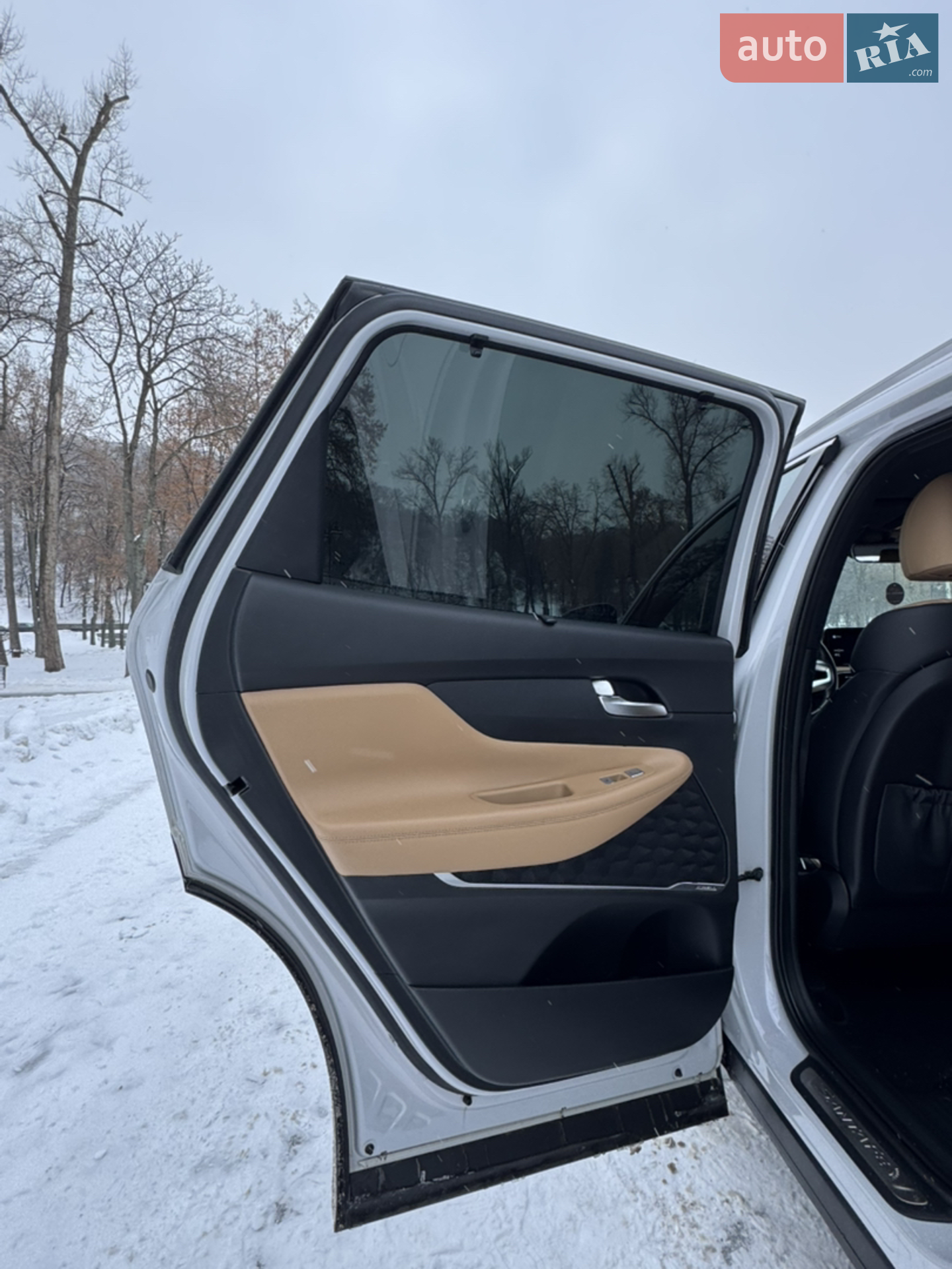 2020 Hyundai Santa Fe - мініатюра 199