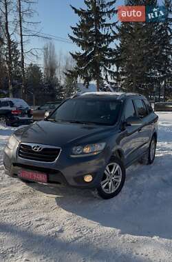 Позашляховик / Кросовер Hyundai Santa FE 2011 в Борщеві