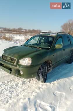 Позашляховик / Кросовер Hyundai Santa FE 2002 в Хмельницькому