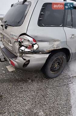 Внедорожник / Кроссовер Hyundai Santa FE 2003 в Боровой