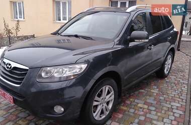 Внедорожник / Кроссовер Hyundai Santa FE 2011 в Ровно