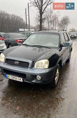Внедорожник / Кроссовер Hyundai Santa FE 2004 в Полтаве