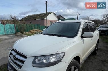 Позашляховик / Кросовер Hyundai Santa FE 2009 в Києві