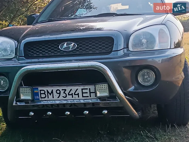 Hyundai Santa FE 2004