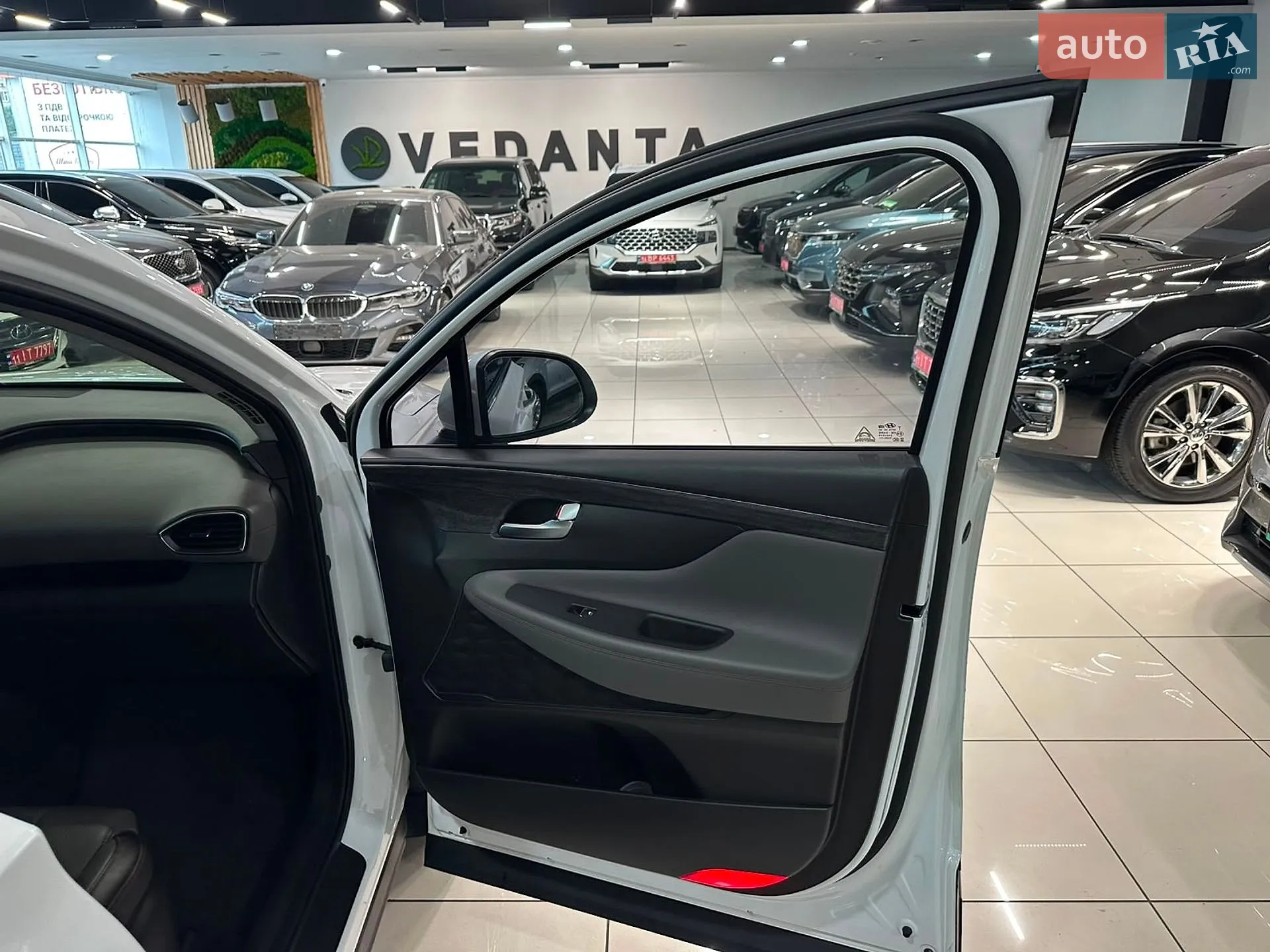 2019 Hyundai Santa Fe - мініатюра 16