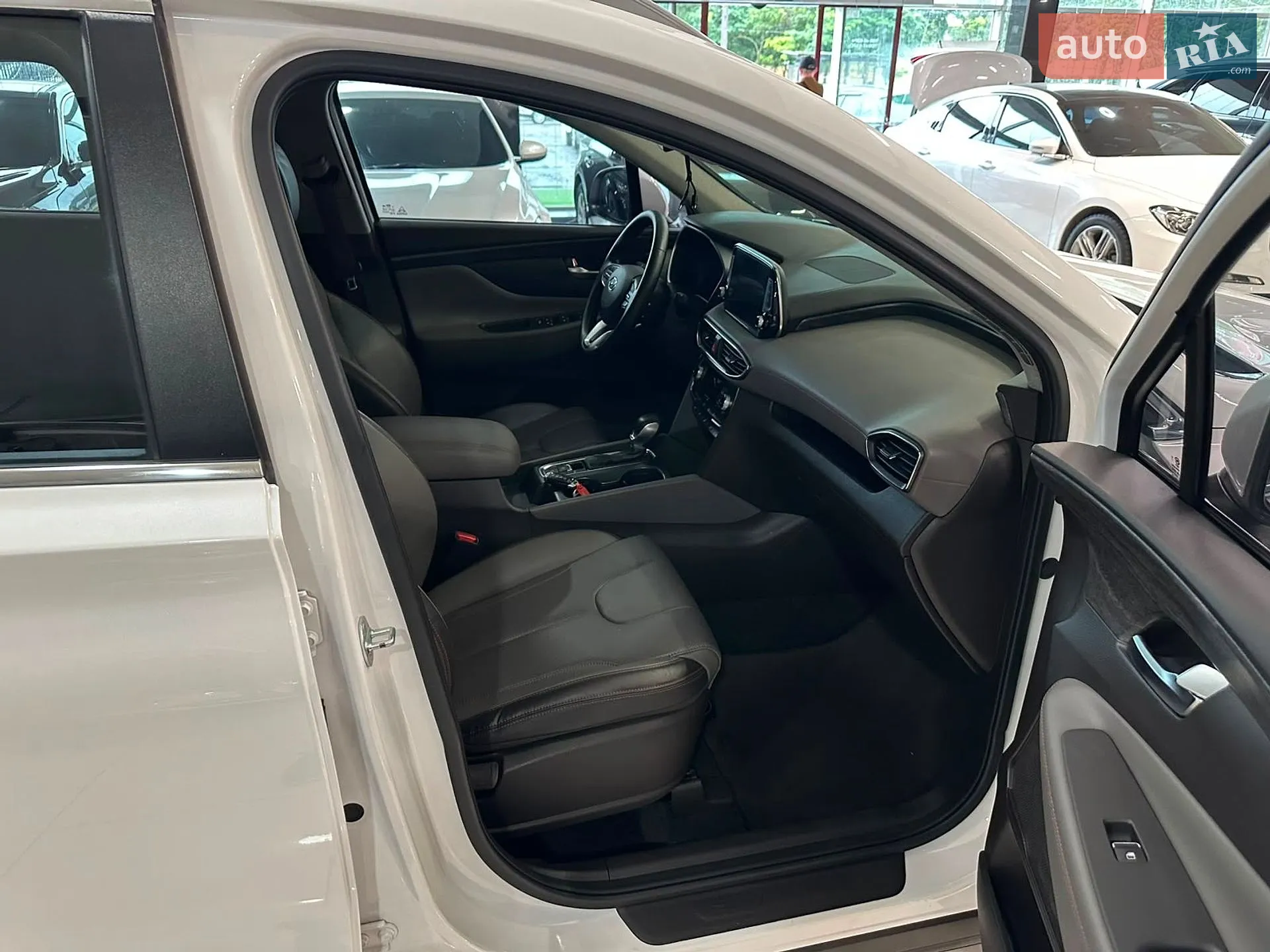 2019 Hyundai Santa Fe - мініатюра 15