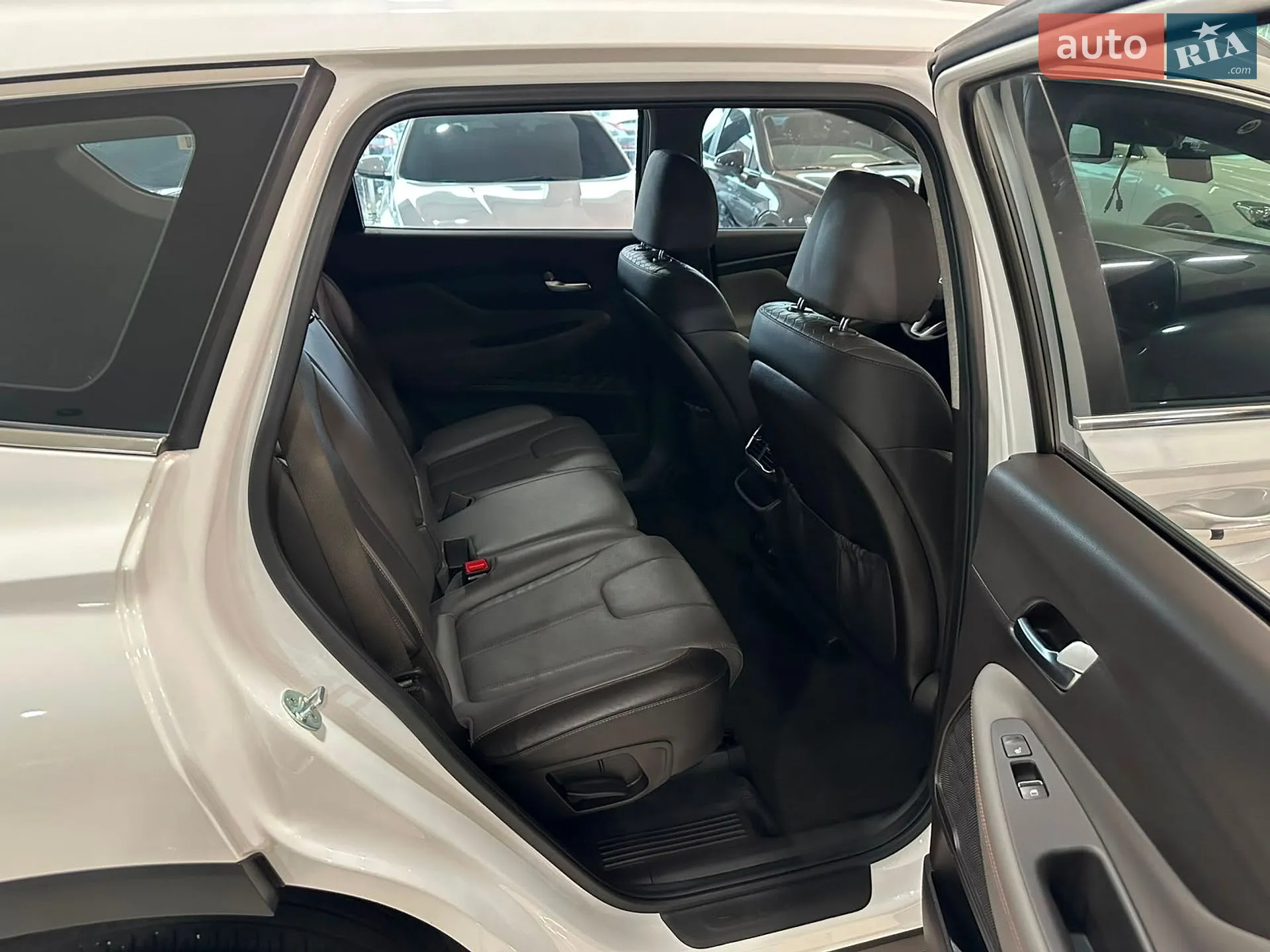 2019 Hyundai Santa Fe - мініатюра 19
