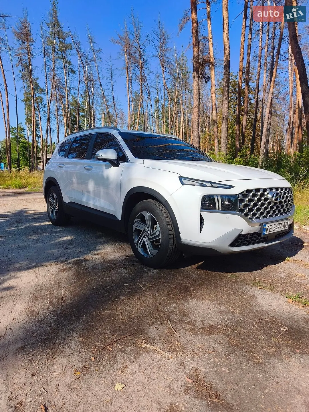 2020 Hyundai Santa Fe - мініатюра 10