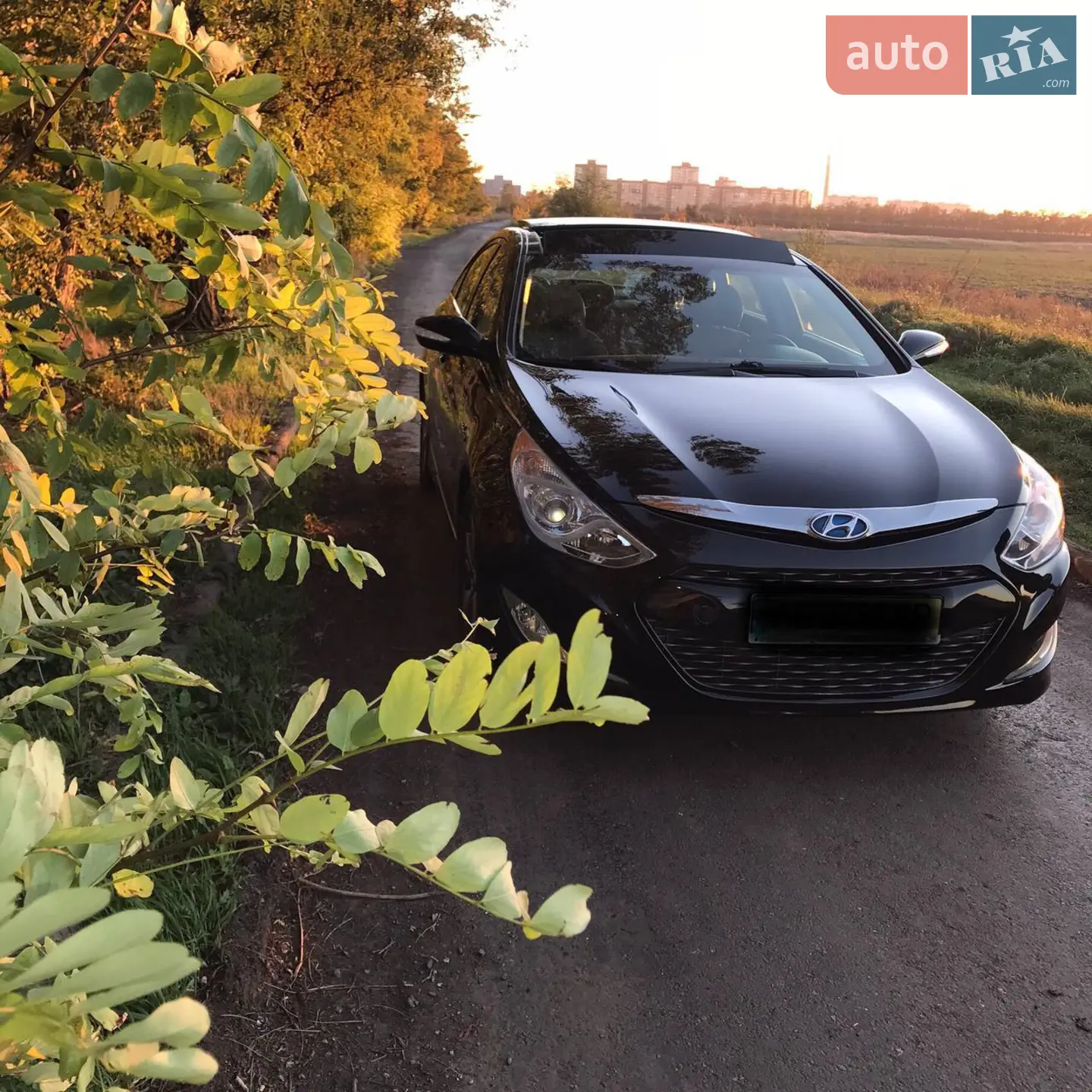 2014 Hyundai Sonata - мініатюра 7