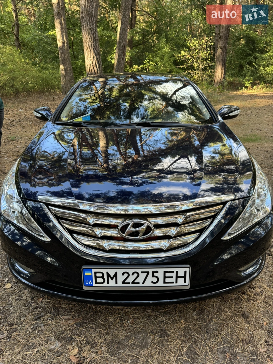 2011 Hyundai Sonata - мініатюра 31