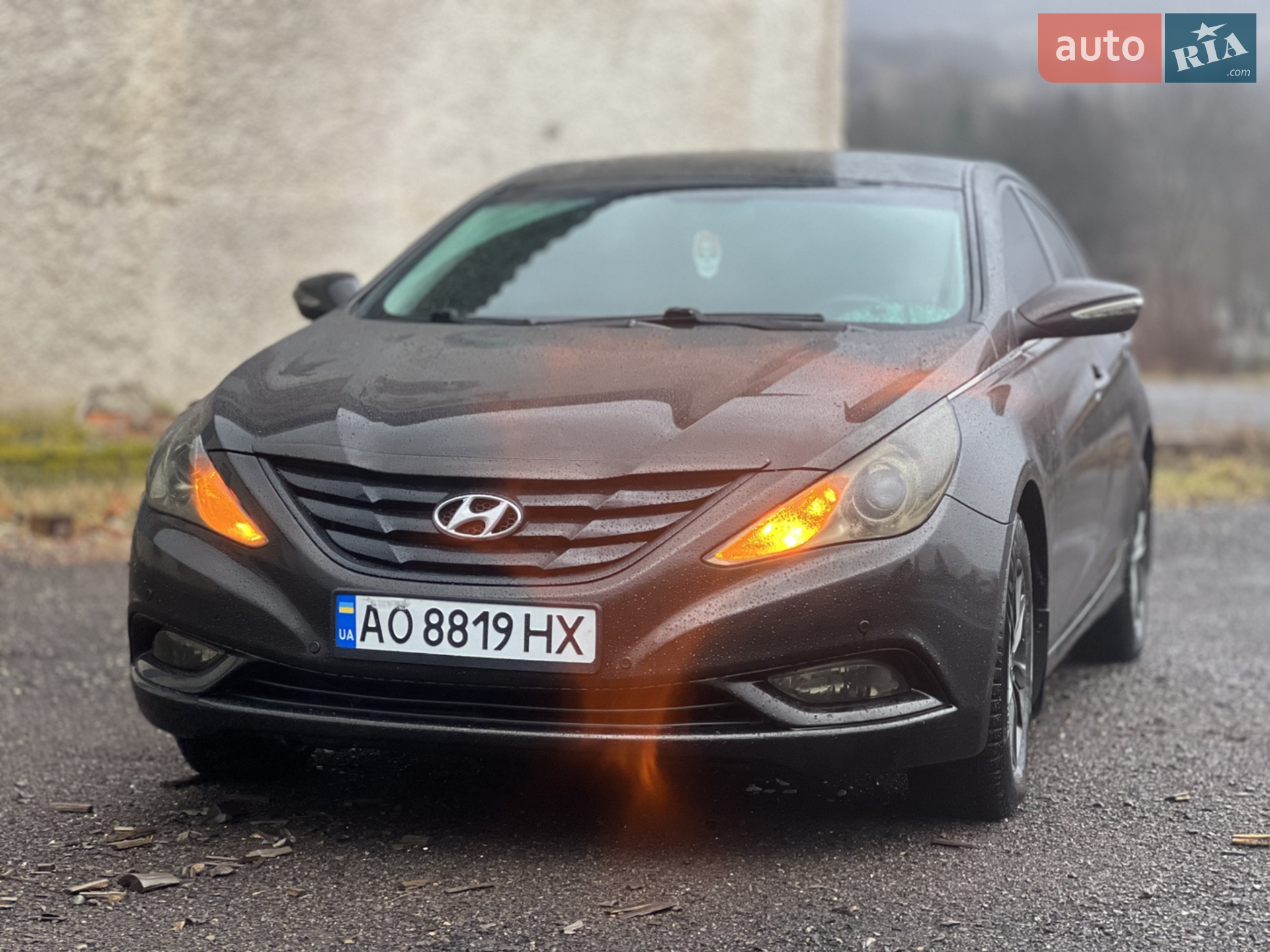 2010 Hyundai Sonata - мініатюра 11