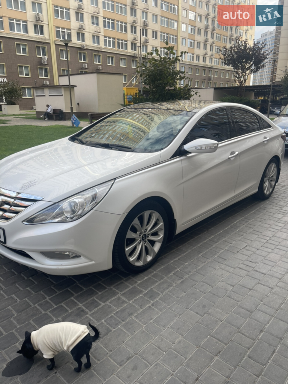 2010 Hyundai Sonata - мініатюра 18