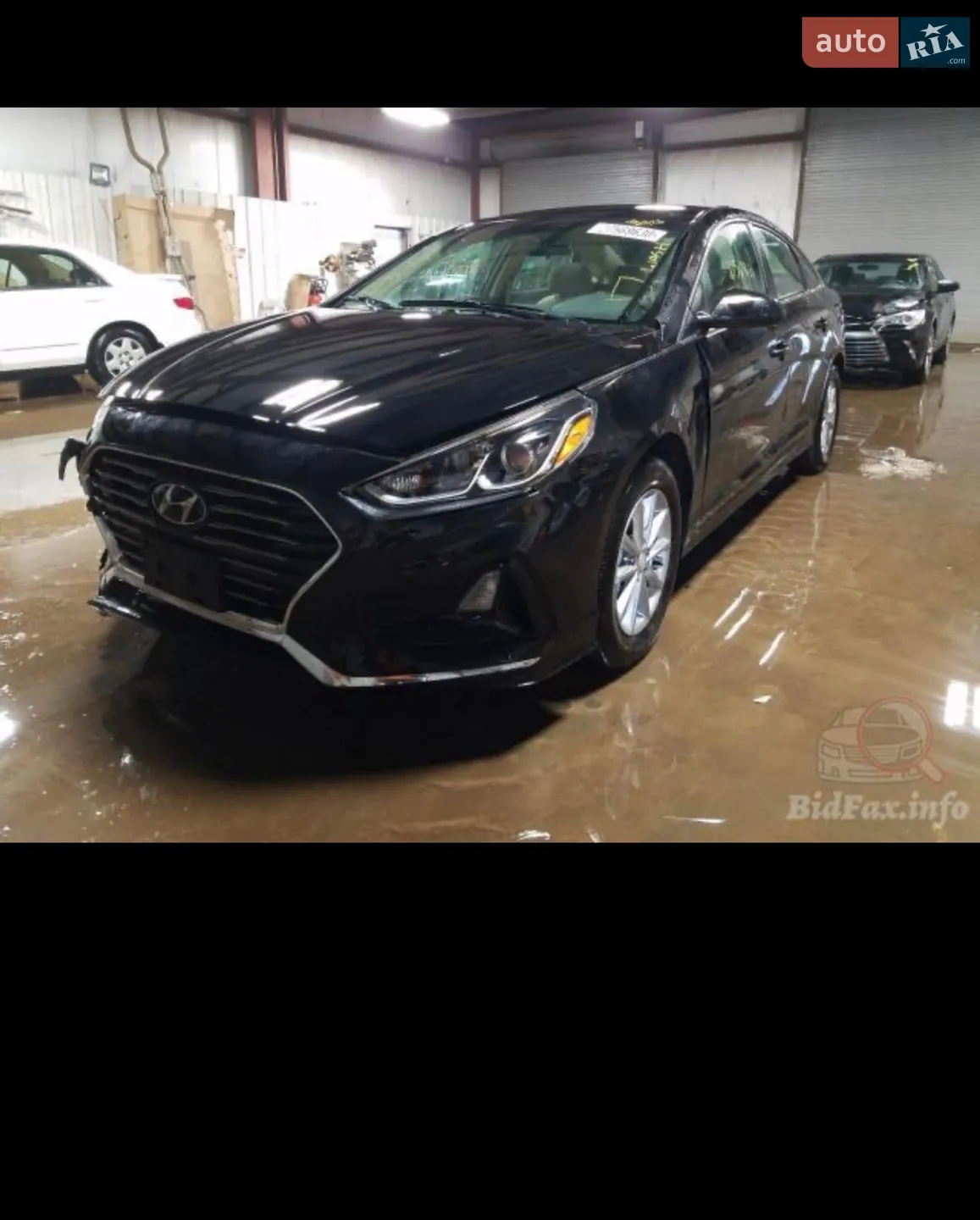 2019 Hyundai Sonata - мініатюра 6