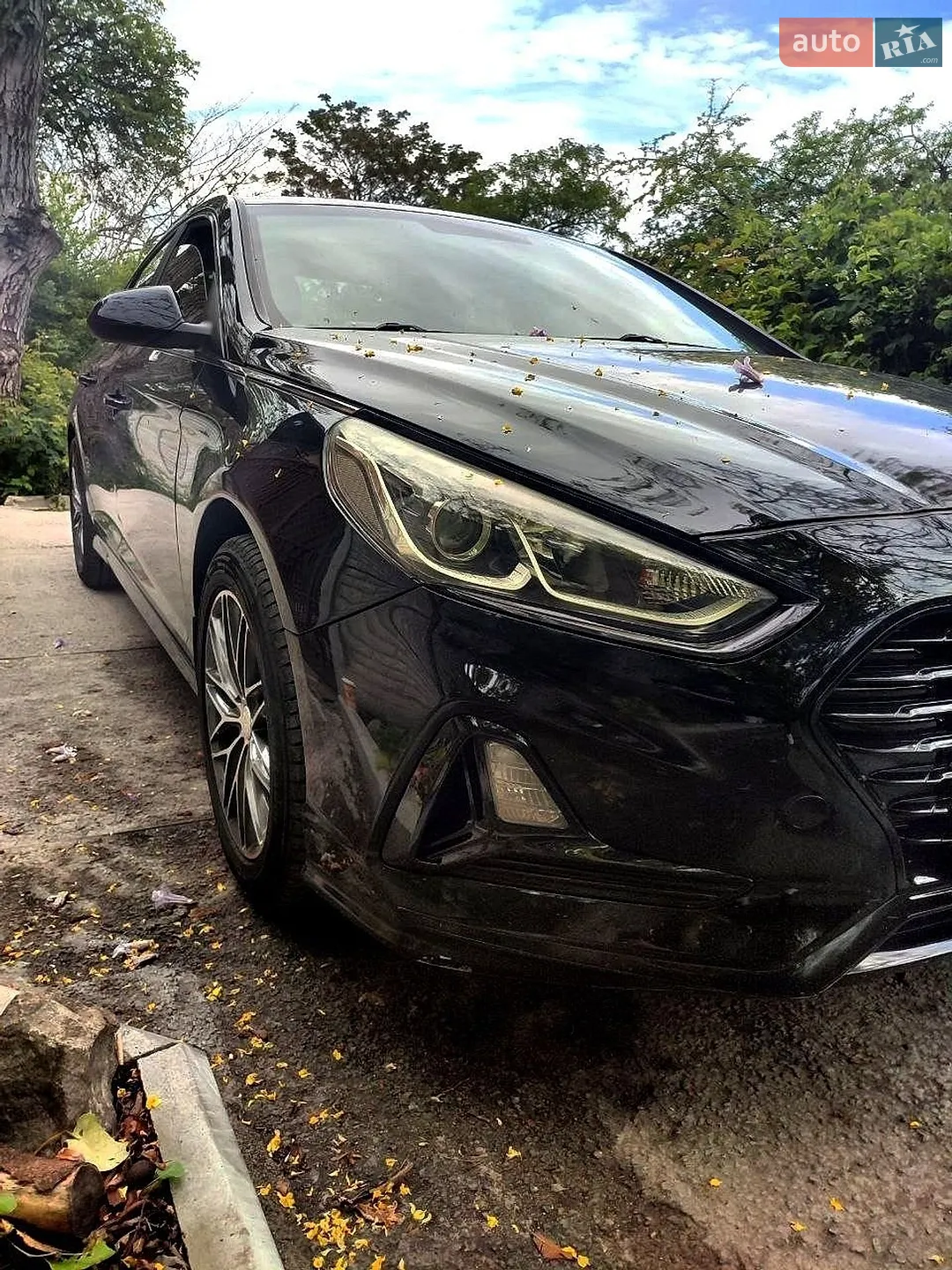2017 Hyundai Sonata - мініатюра 3