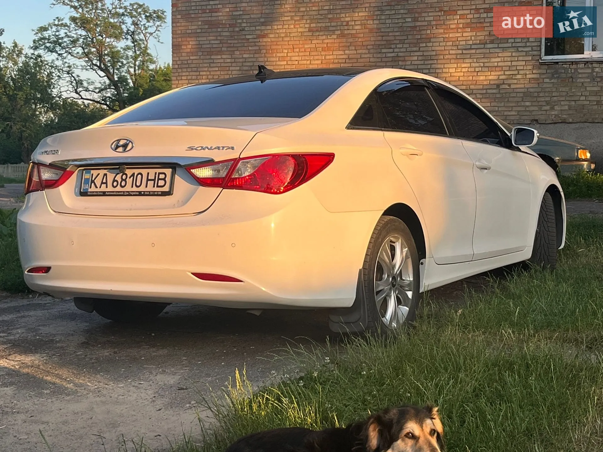 2011 Hyundai Sonata - мініатюра 3