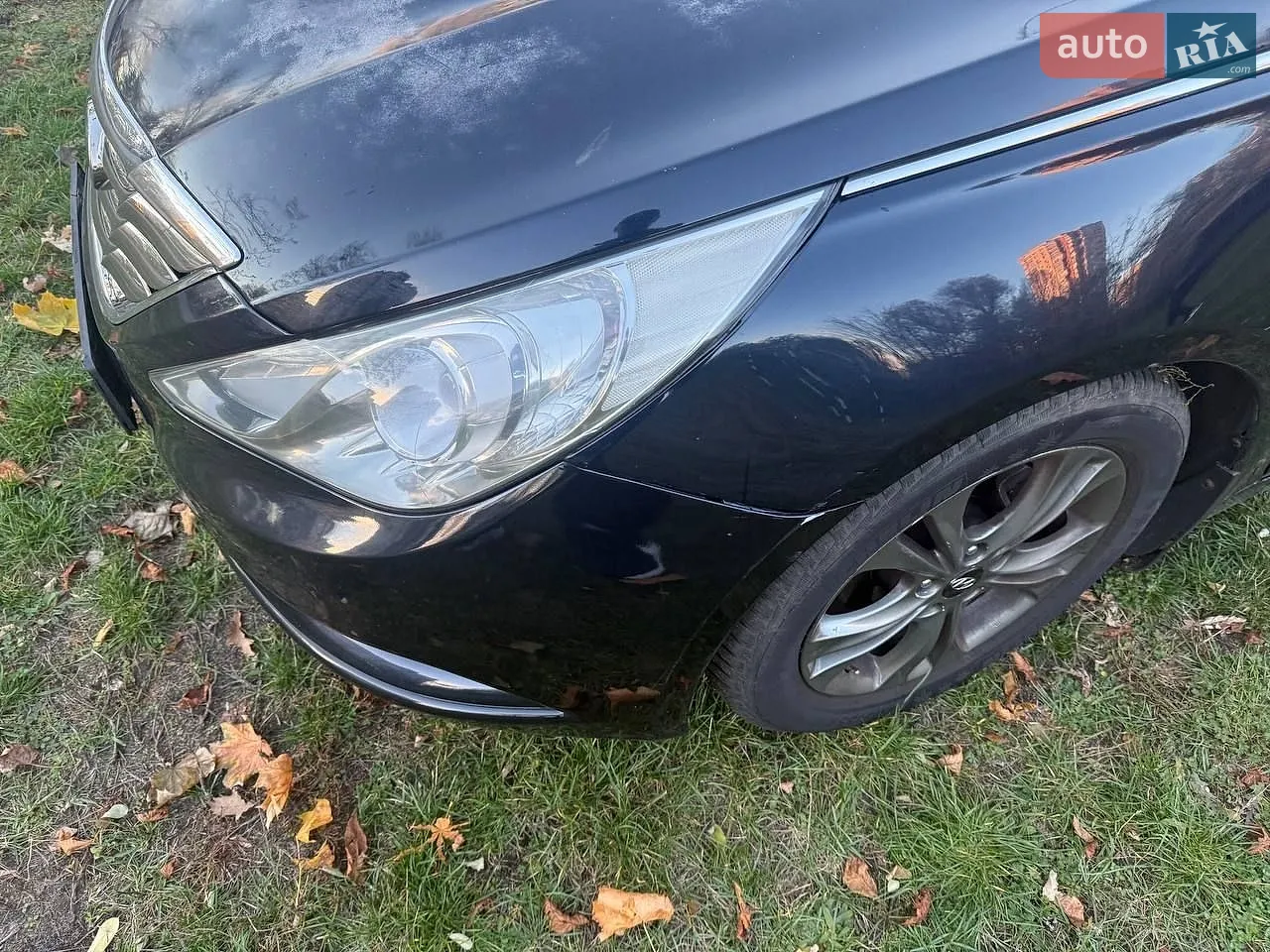 2010 Hyundai Sonata - мініатюра 8