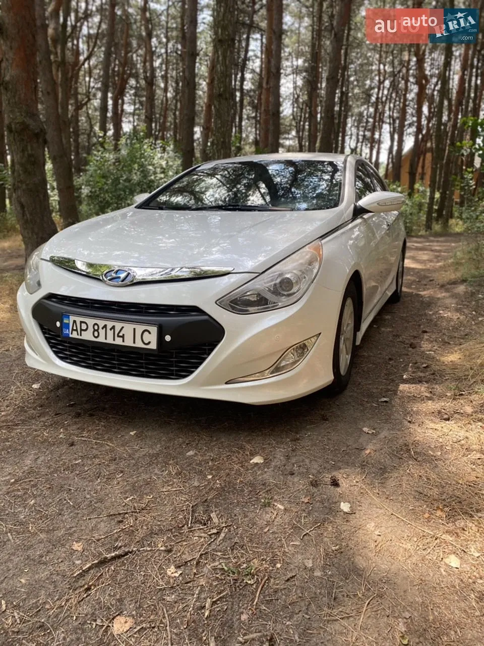 2013 Hyundai Sonata - мініатюра 14