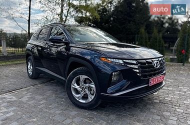 Внедорожник / Кроссовер Hyundai Tucson 2023 в Золочеве