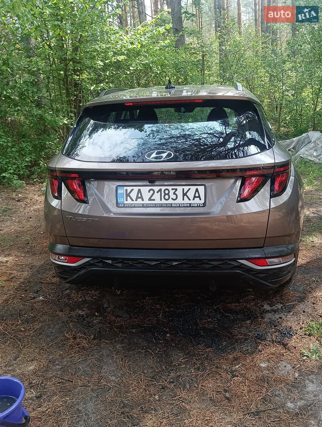 2023 Hyundai Tucson - мініатюра 13