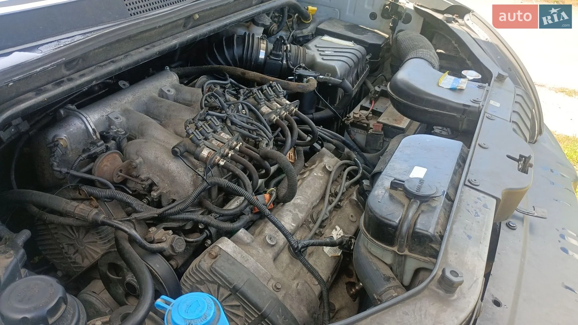 Hyundai Tucson 2005 VIN KMHJN81DP5U197288 фото оголошення 3 з 6