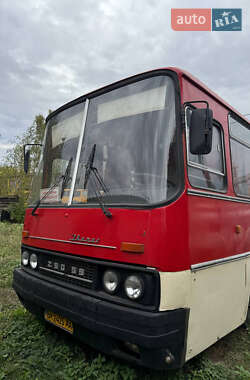Туристический / Междугородний автобус Ikarus 250 1988 в Ромнах