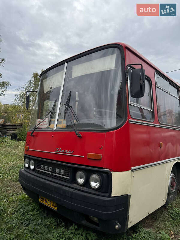 Туристический / Междугородний автобус Ikarus 250 1988 в Ромнах