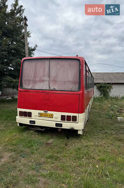 Туристический / Междугородний автобус Ikarus 250 1988 в Ромнах