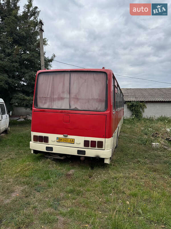 Туристический / Междугородний автобус Ikarus 250 1988 в Ромнах