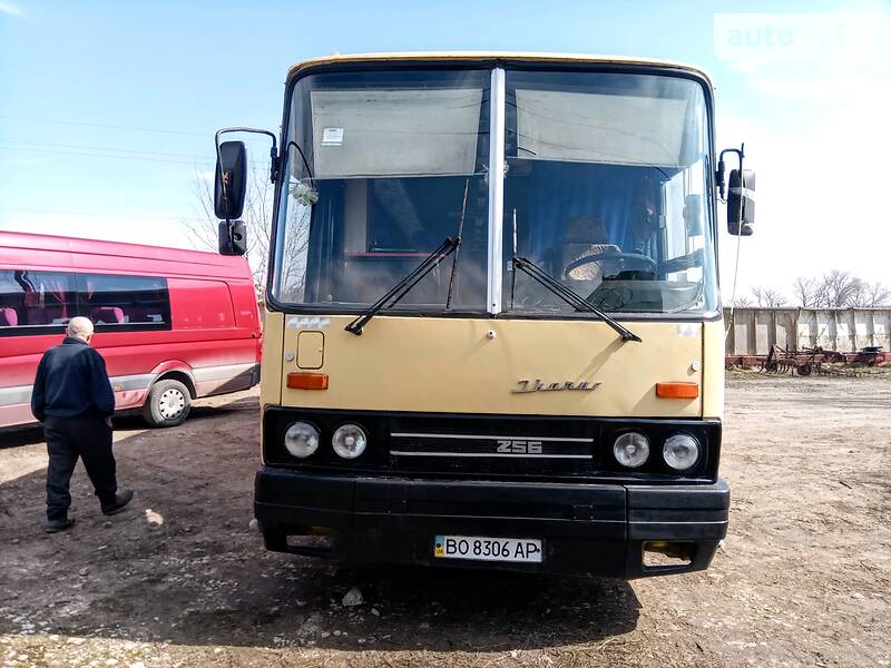 Туристический / Междугородний автобус Ikarus 255 1988 в Тернополе
