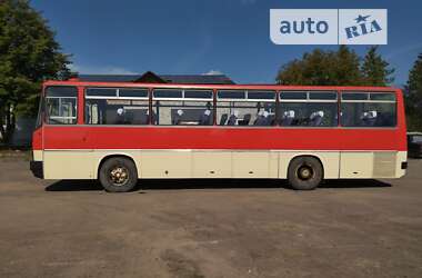 Туристичний / Міжміський автобус Ikarus 256 1989 в Дрогобичі