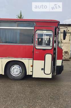 Туристичний / Міжміський автобус Ikarus 256 1991 в Павлограді