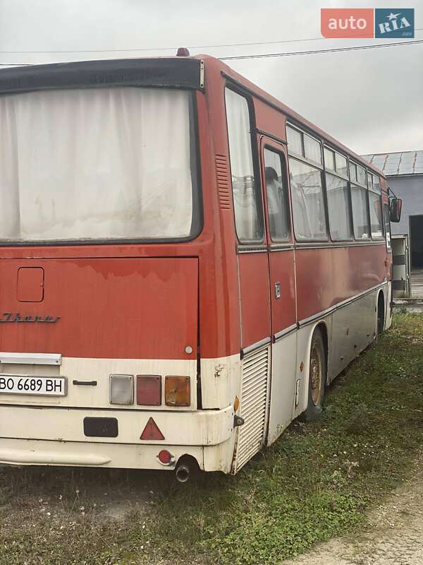 Туристический / Междугородний автобус Ikarus 256 1990 в Тернополе
