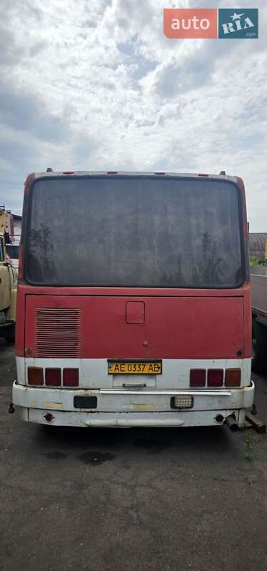 Туристический / Междугородний автобус Ikarus 256 1989 в Кривом Роге