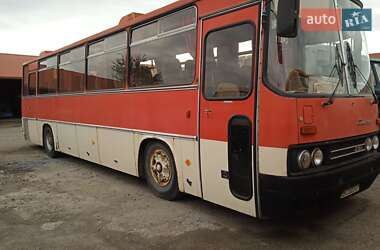 Туристичний / Міжміський автобус Ikarus 256 1989 в Львові Туристичний / Міжміський автобус Ikarus 256 1989 в Львові