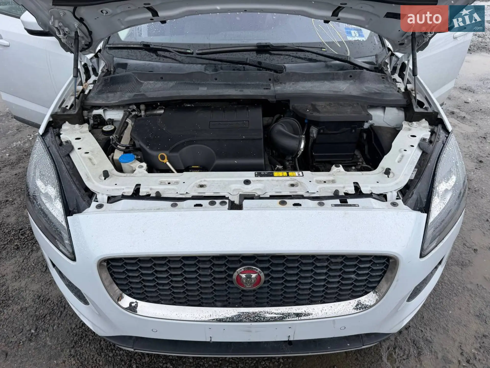 2019 Jaguar E-Pace - мініатюра 13