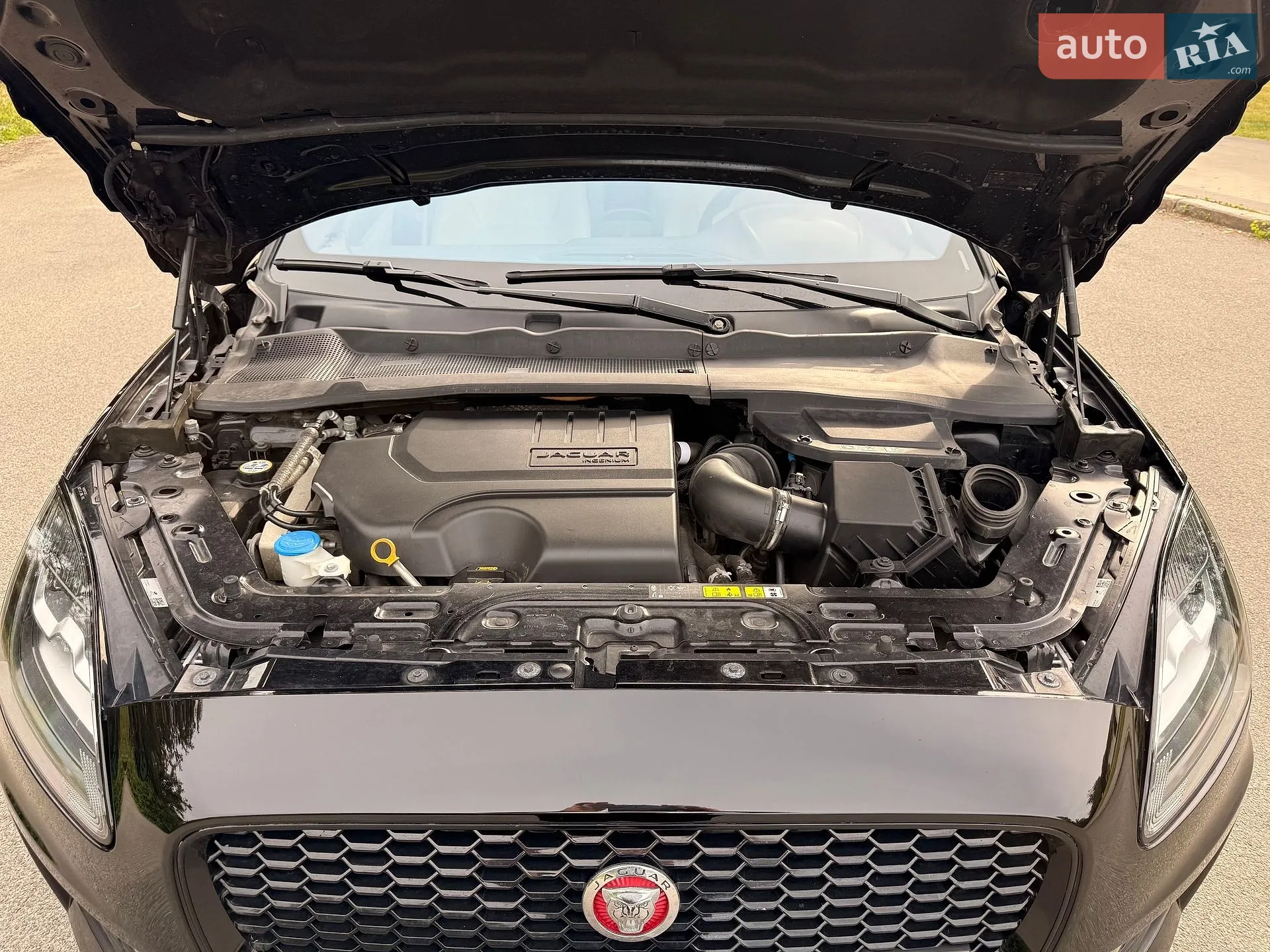2019 Jaguar E-Pace - мініатюра 32