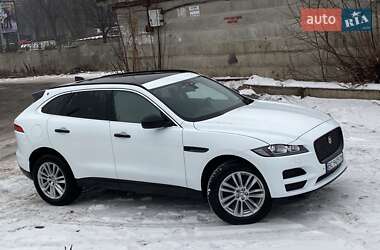 Внедорожник / Кроссовер Jaguar F-Pace 2016 в Киеве фото 34 Внедорожник / Кроссовер Jaguar F-Pace 2016 в Киеве
