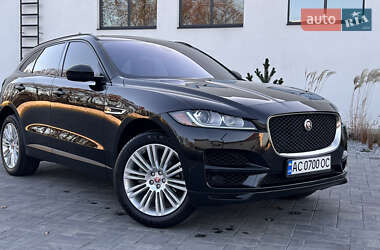 Внедорожник / Кроссовер Jaguar F-Pace 2016 в Луцке