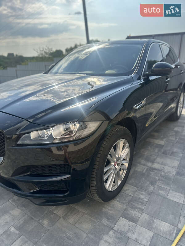Внедорожник / Кроссовер Jaguar F-Pace 2019 в Полтаве