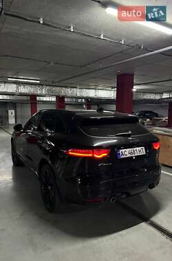 Внедорожник / Кроссовер Jaguar F-Pace 2016 в 