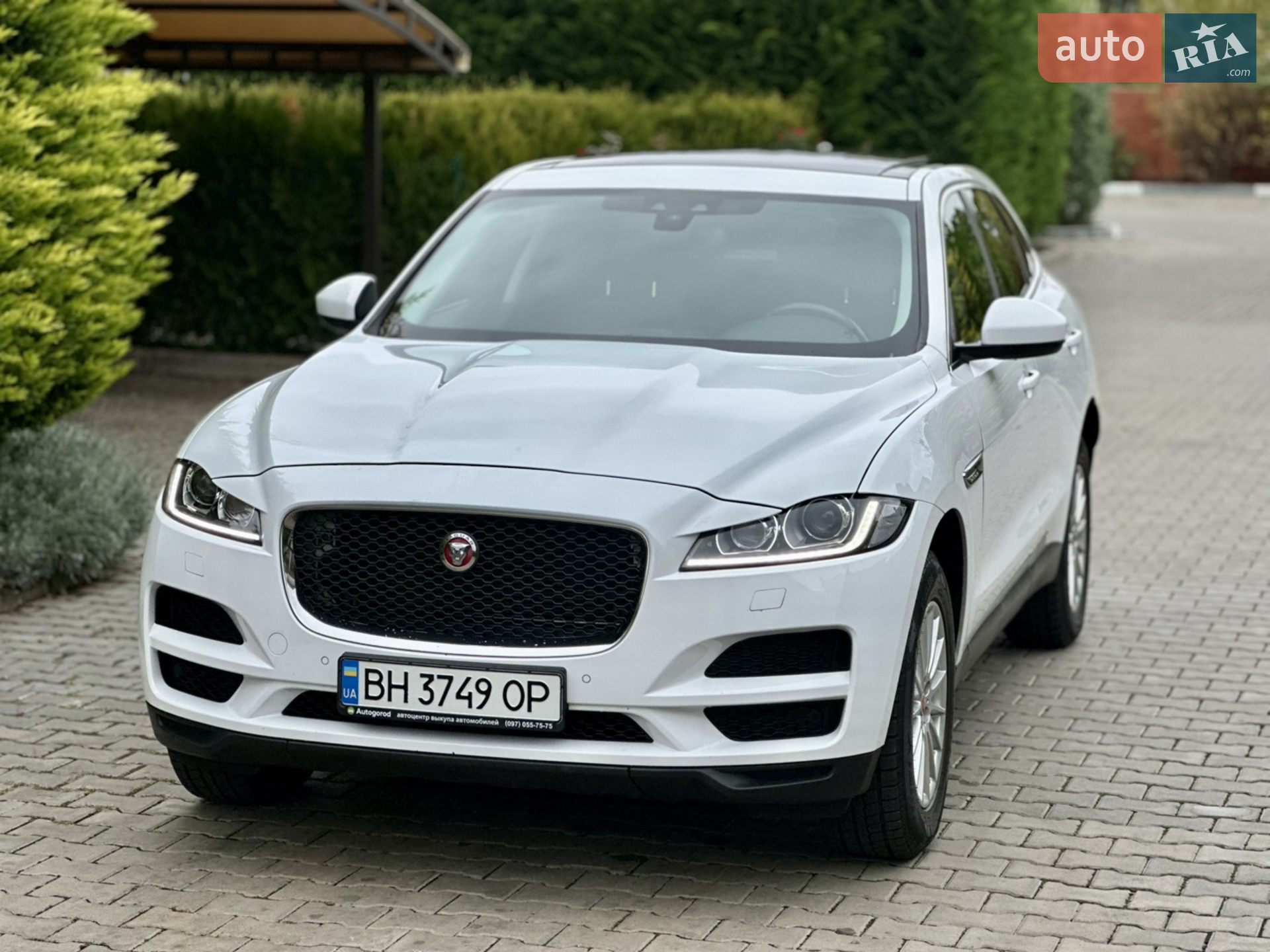 Jaguar F-Pace 2018 VIN SADCA2BN3JA284206 фото оголошення 12 з 70