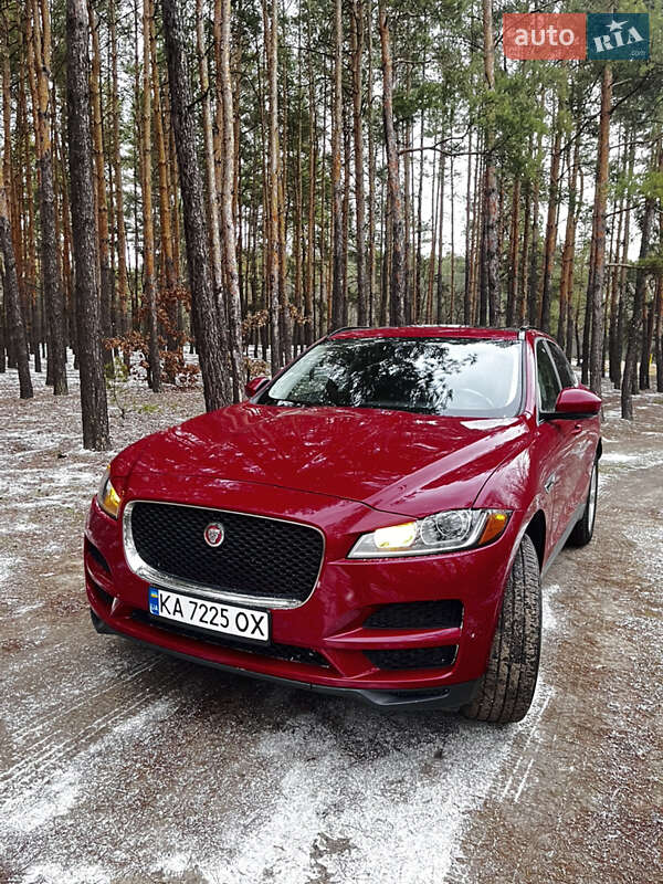 2018 Jaguar F-Pace, VIN SADCJ2FX7KA368896:plate — фото 1 (autoria)