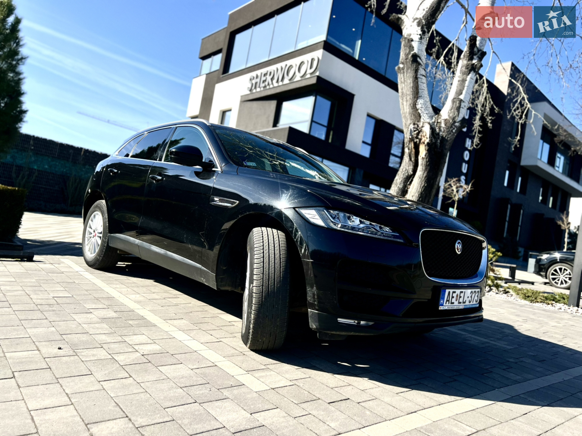 2019 Jaguar F-Pace - мініатюра 4