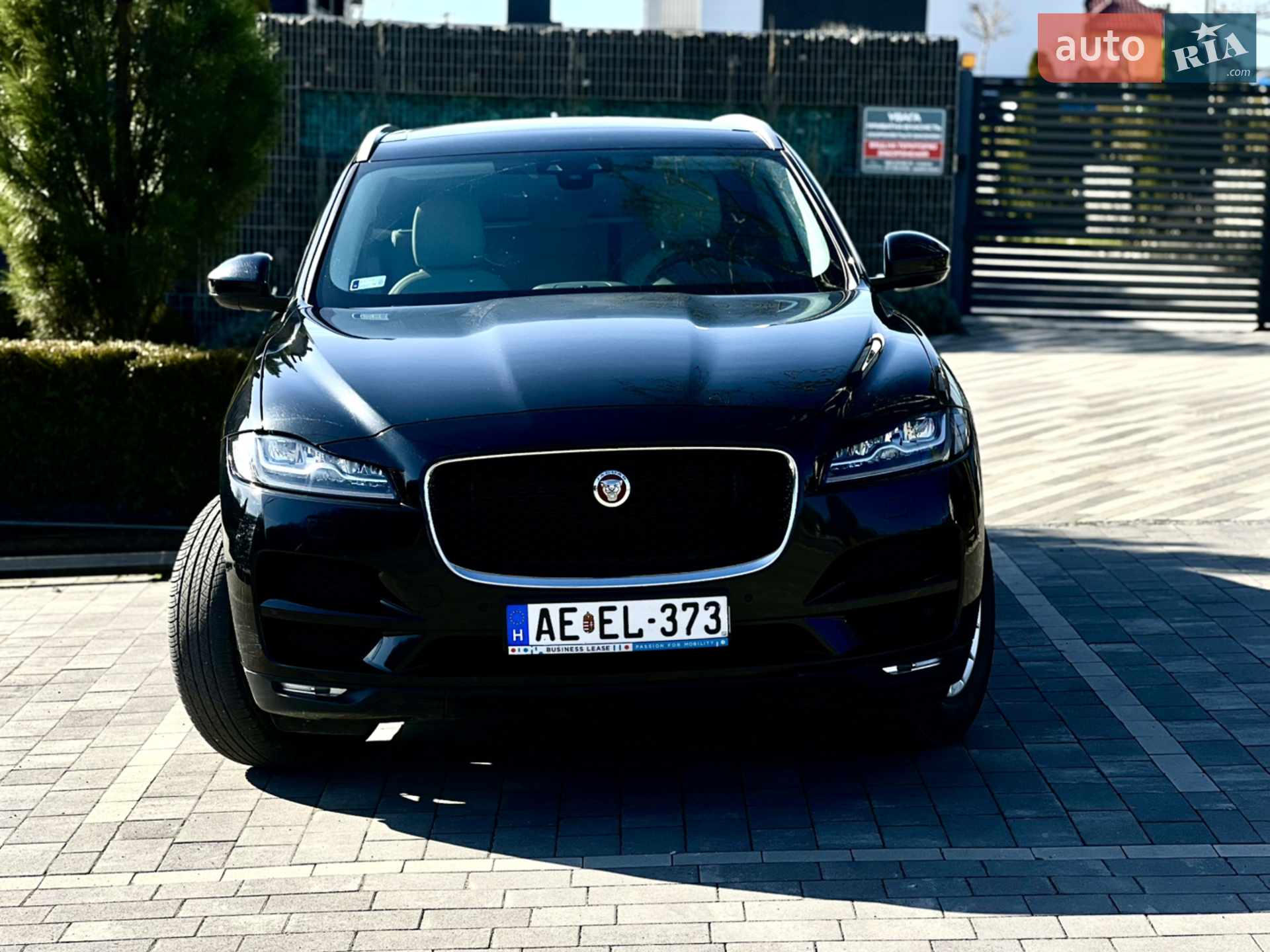 2019 Jaguar F-Pace - мініатюра 6