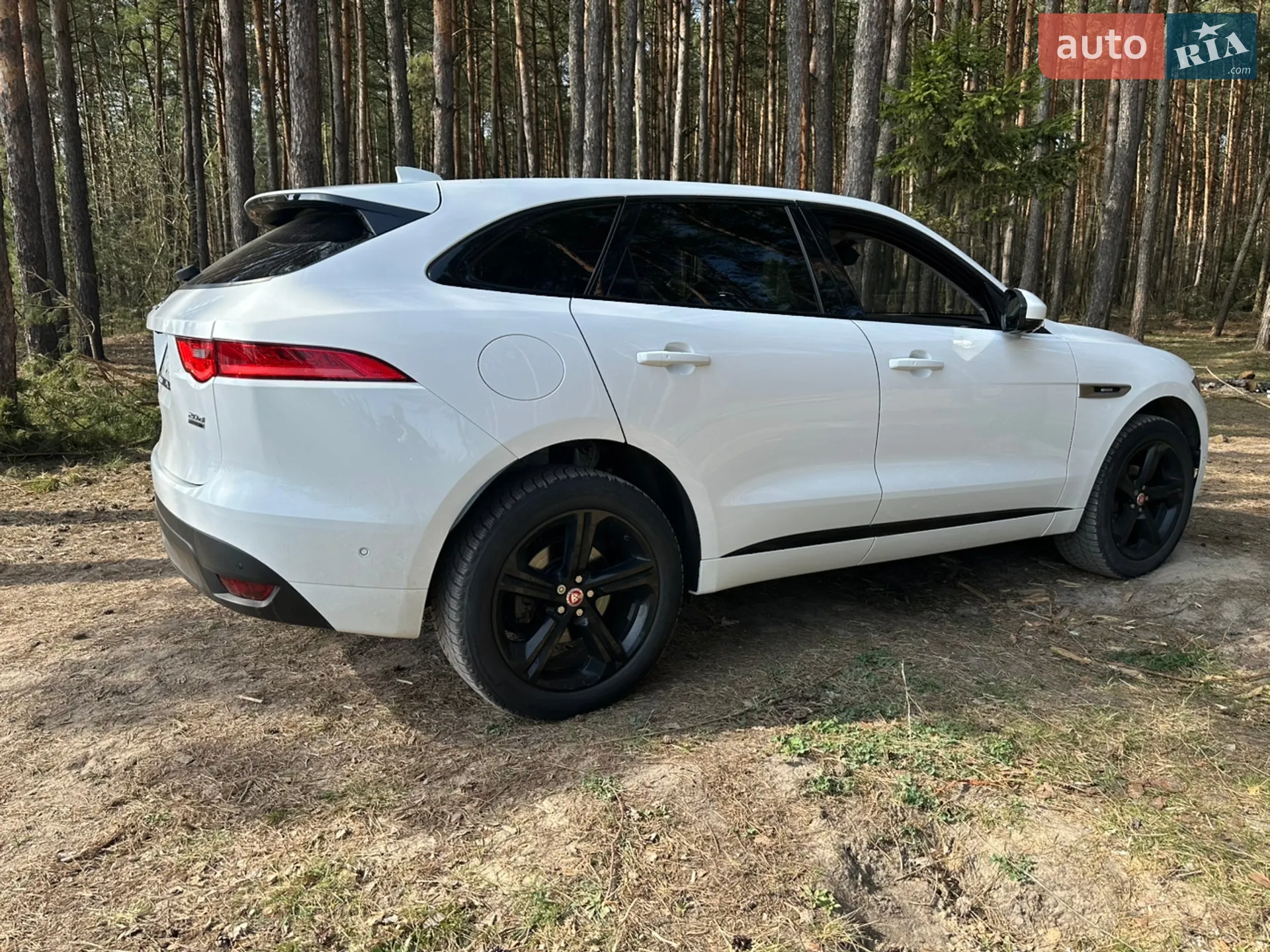 2017 Jaguar F-Pace - мініатюра 3