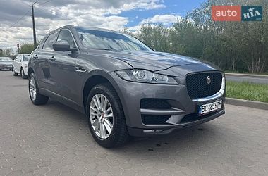 Позашляховик / Кросовер Jaguar F-Pace 2017 в Вишгороді